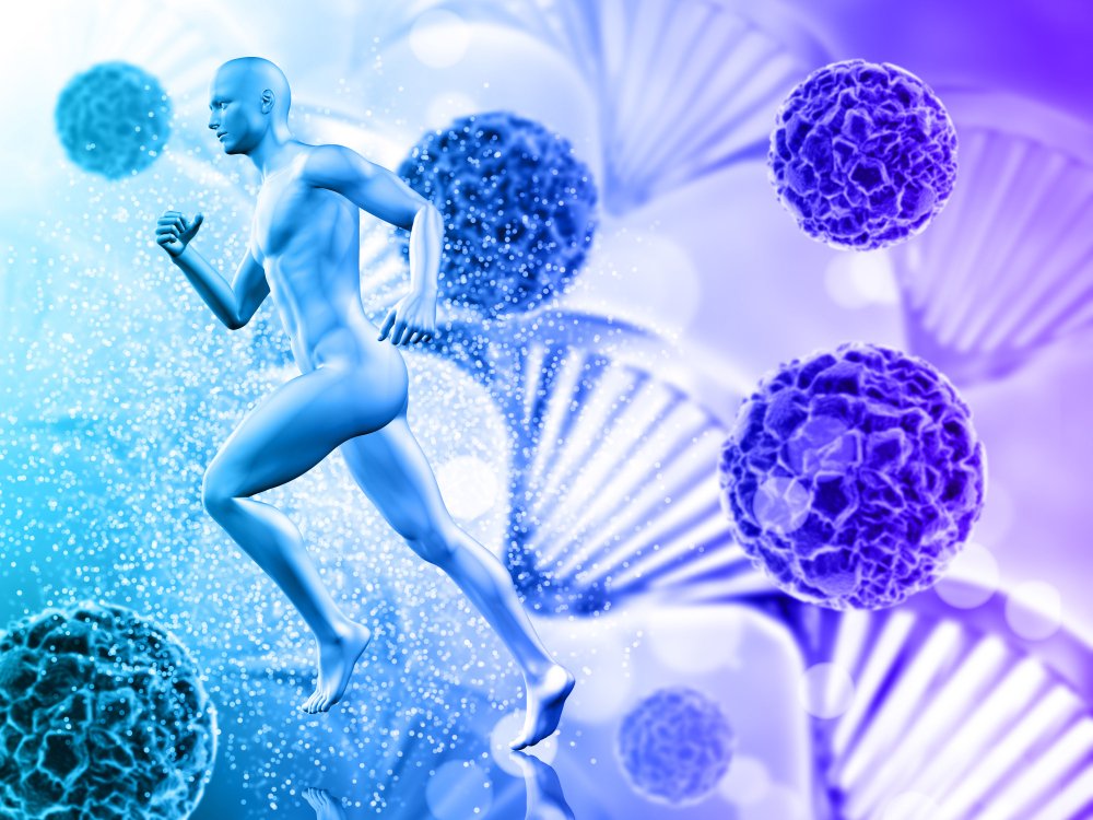 Understanding Muscle Recovery at the Cellular Level
