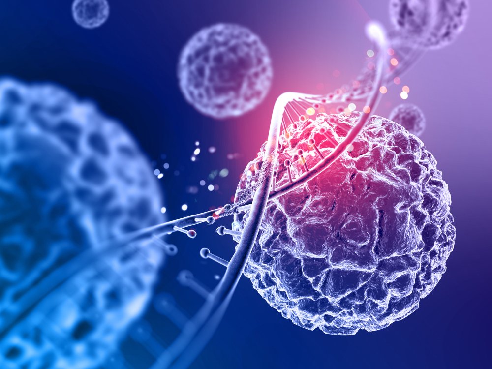 BPC-157 Is Widely Studied in Regenerative Research