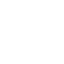 express delivery