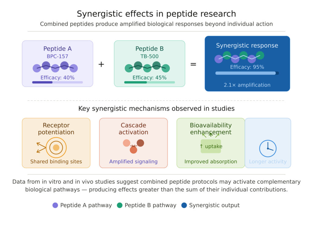 Synergistic Effects in Peptide Research: What the Data Shows 2 peptide synergy research illustration